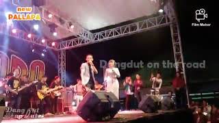 Download lagu Adik Berjilbab Biru Jihan Audy feat Wandra New Pallapa mp3