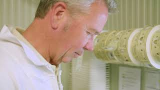 Entwined Ambassador Rupert Philips