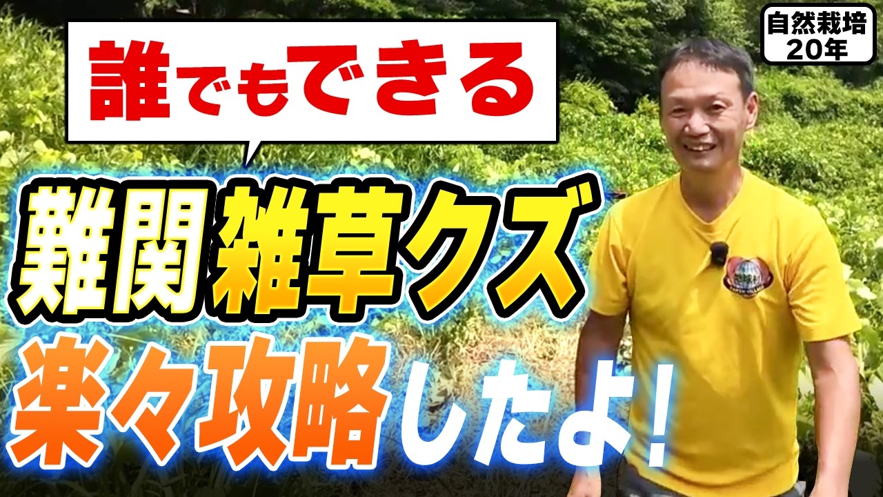 農薬不使用で難雑草クズを根絶する方法