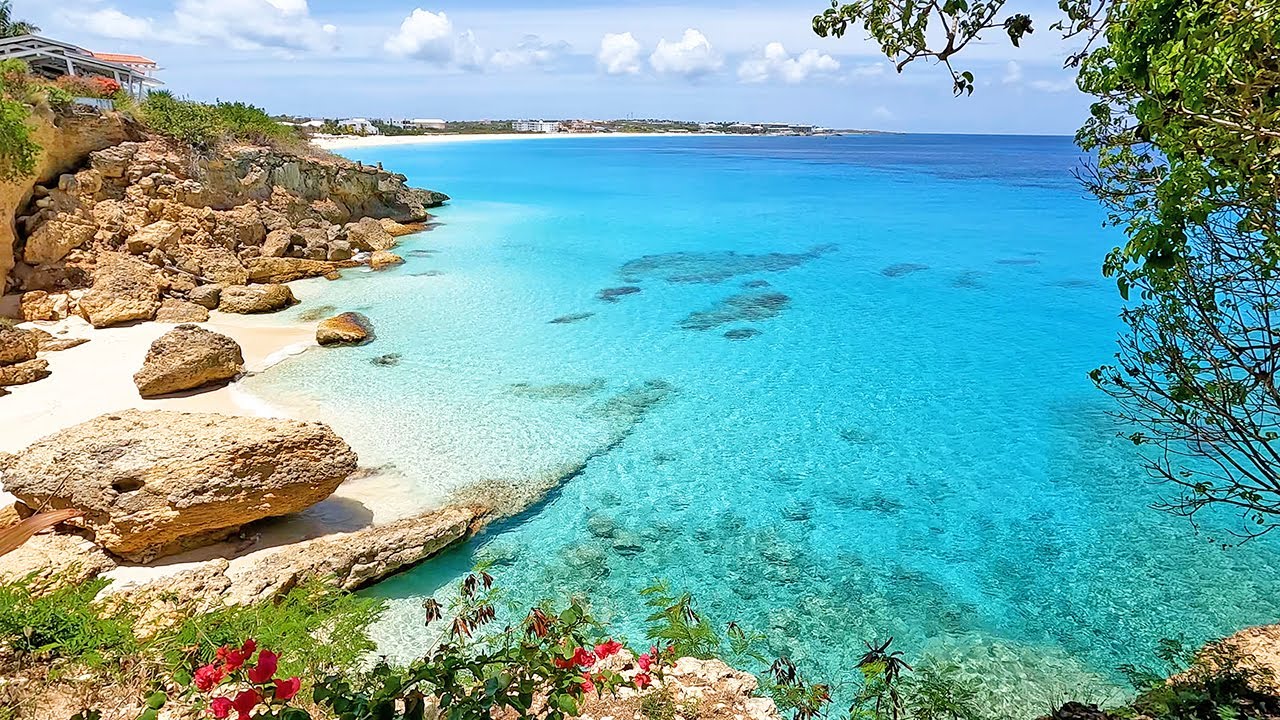 Summertime Happiness