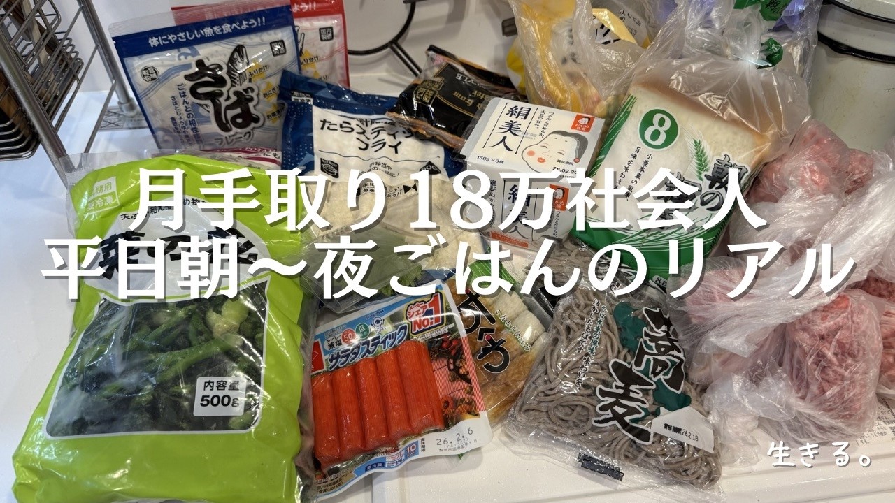 【月食費ほぼ1万円】社会人の平日ごはんのリアル