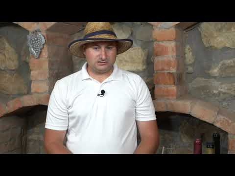 Botosani Online TV / Sebastian Jitariu, tânărul care a creat brandul de vinuri Jitar