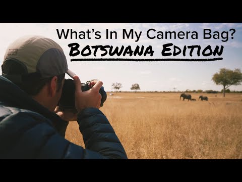 Must-Pack Camera Gear for Your Botswana Safari with Wildlife Photographer Court Whelan, Ph.D.