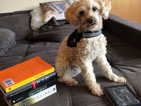 Meine Woche mit Büchern #KW 27/2019 + Currently Reading