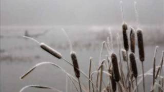 Polarius - Up North