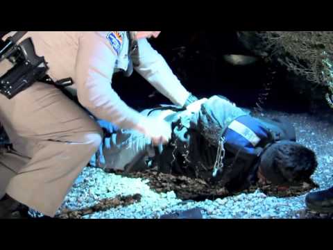 Live PD Behind the Scenes VidOvation AVIWEST