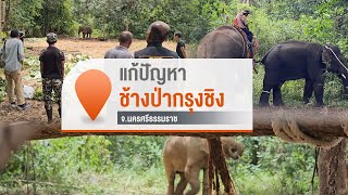 [Live] คนกับช้างป่า อยู่ร่วมกันอย่างไร? | จับตารอบทิศนอกรอบ | 7 ธ.ค. 66