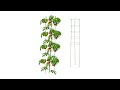 Support plantes grimpantes lot de 2 Vert - Métal - Matière plastique - 28 x 150 x 28 cm
