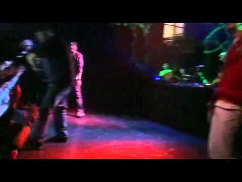 TBA - ORGINALLAT KONCERT ZVICER GUCI ENTERTAINMENT (1)