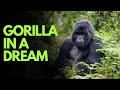 Top 7 Biblical Meanings Of A Gorilla In A Dream