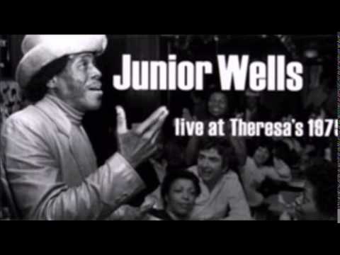 Thumbnail for Junior Wells & Phil Guy ~ Live 1975 by Phil Guy