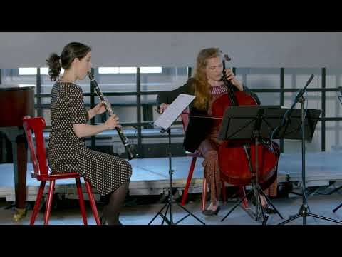 Silvia Rosani:  La fabrica e 'l fondamento - Trio Radial