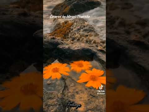 නුඹ දැක මා නිවුනා (Covered by Hiruni Tharaka)