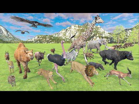 African Animal Speed Comparison - Realistic 3D Animation Comparison
