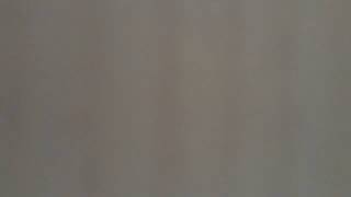 ya me da igual de los autenticos