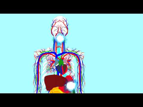 Insulin diyeta o mawala ang timbang sa isang panaginip Nawala ang bigat sa tulong ng isang ellipsoid