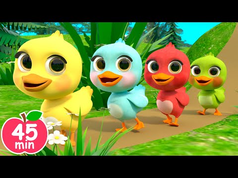 5 Little Ducks song | Newborn Baby Songs & Nursery Rhymes