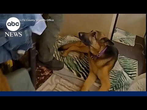 Police footage reveal new details into Gene Hackman and wife’s deaths