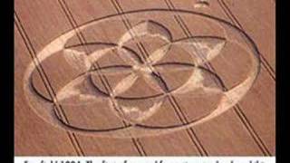 cropcircles