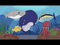 Slippery Fish, a funny song for kids by Amy Liz