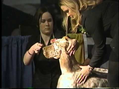 CKC Junior National, Nov 1999