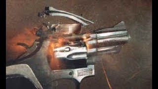 O que NÃO deve ser feito com uma arma de fogo.(Hand Simulator)