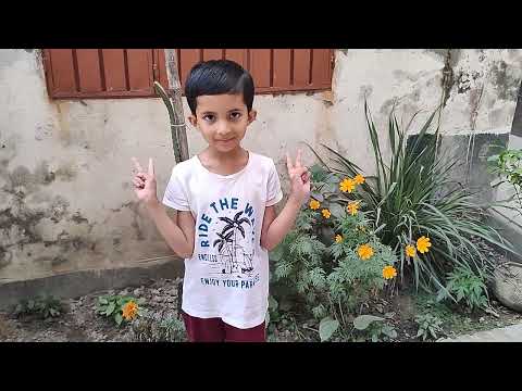 Atiya Flowers 🌻🌹