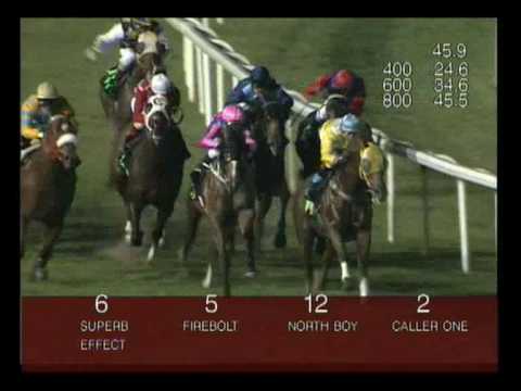 Singapore Airlines KrisFlyer Sprint 2002 (North Boy)