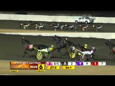 Meadowlands February 20, 2016 - Race 6 - Giant Slayer