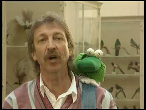 Henri Dès - l'escargot avec Albert Le Vert