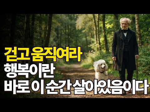 행복을 쫓는 사람은 행복해질 수 없다 | 쇼펜하우어 행복론 | 아리스토텔레스 행복론
