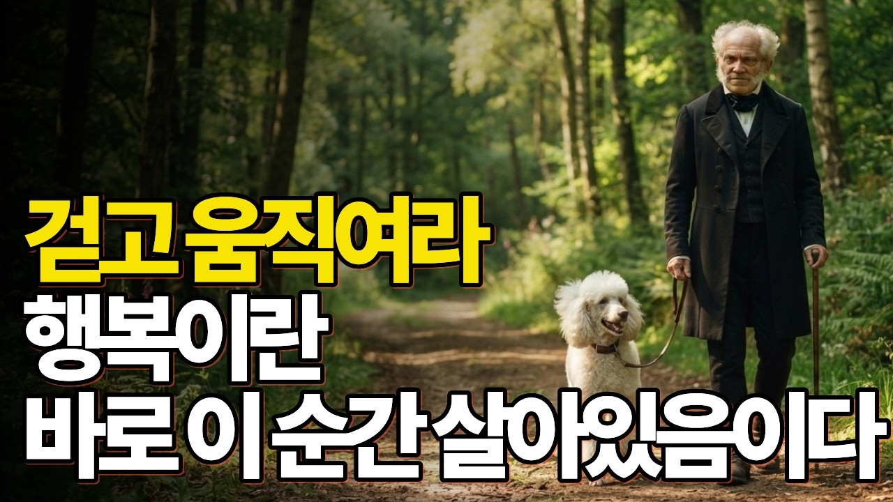 행복을 쫓는 사람은 행복해질 수 없다 | 쇼펜하우어 행복론 | 아리스토텔레스 행복론
