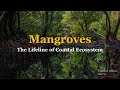 MANGROVES CURRENT AFFAIRS REVIEW ENVIRONMENT