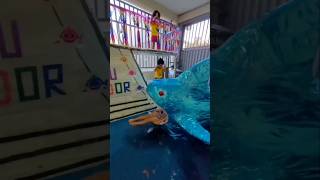 SHARK