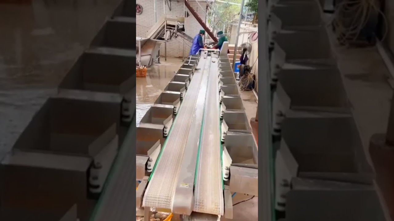 Smart Sorting Solution: Streamlining Efficiency with Intelligent Technology