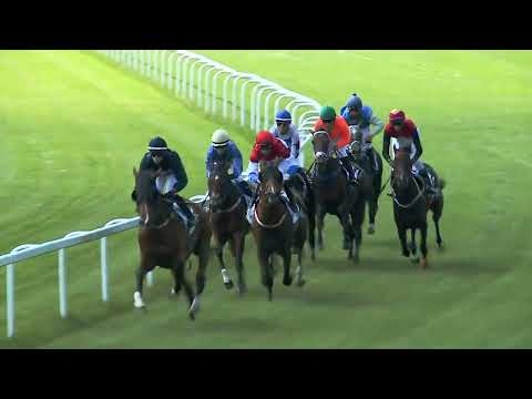 GaloppDerby2023  indulok  Merci Star