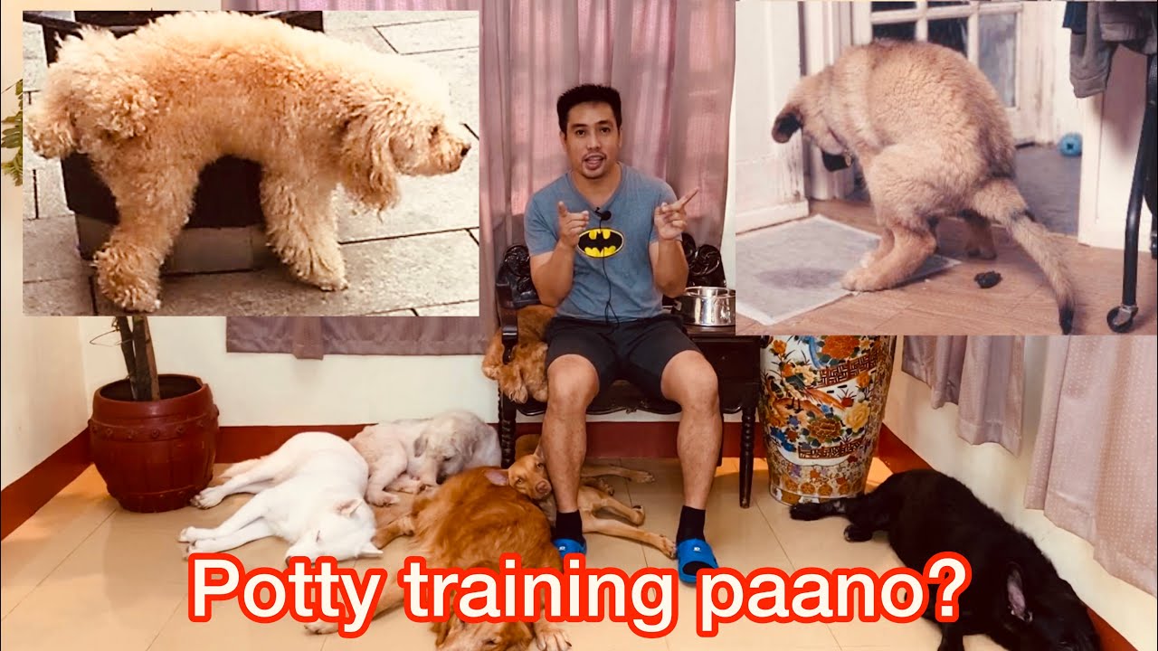Putar video Wiwi at Popo yun Aso kun saan saan, Potty training paano sekarang Wiwi at Popo yun Aso kun saan saan, Potty training paano