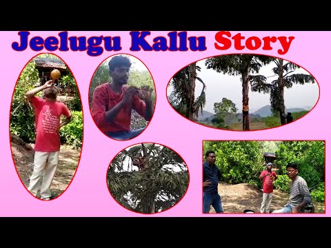 గిరిజన గ్రామాల్లో ప్రకృతి సిద్ధమైన జీలుగు కల్లు 