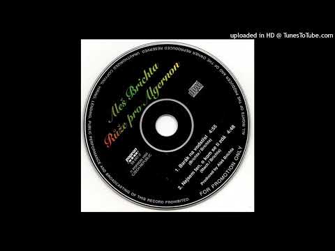 Aleš Brichta - Tenhle barák je na Vostřel - Nejsem ten, o kom se ti zdá