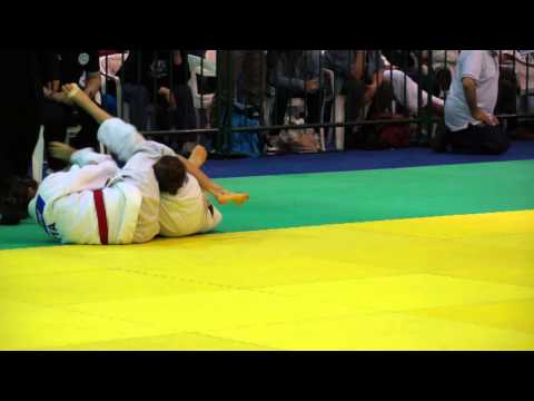 Sinergy - Elisa Cimino