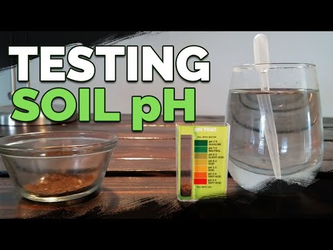 , title : 'How to Test and Measure Your Soil pH at Home'
