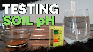 How to Test and Measure Your Soil pH at Home