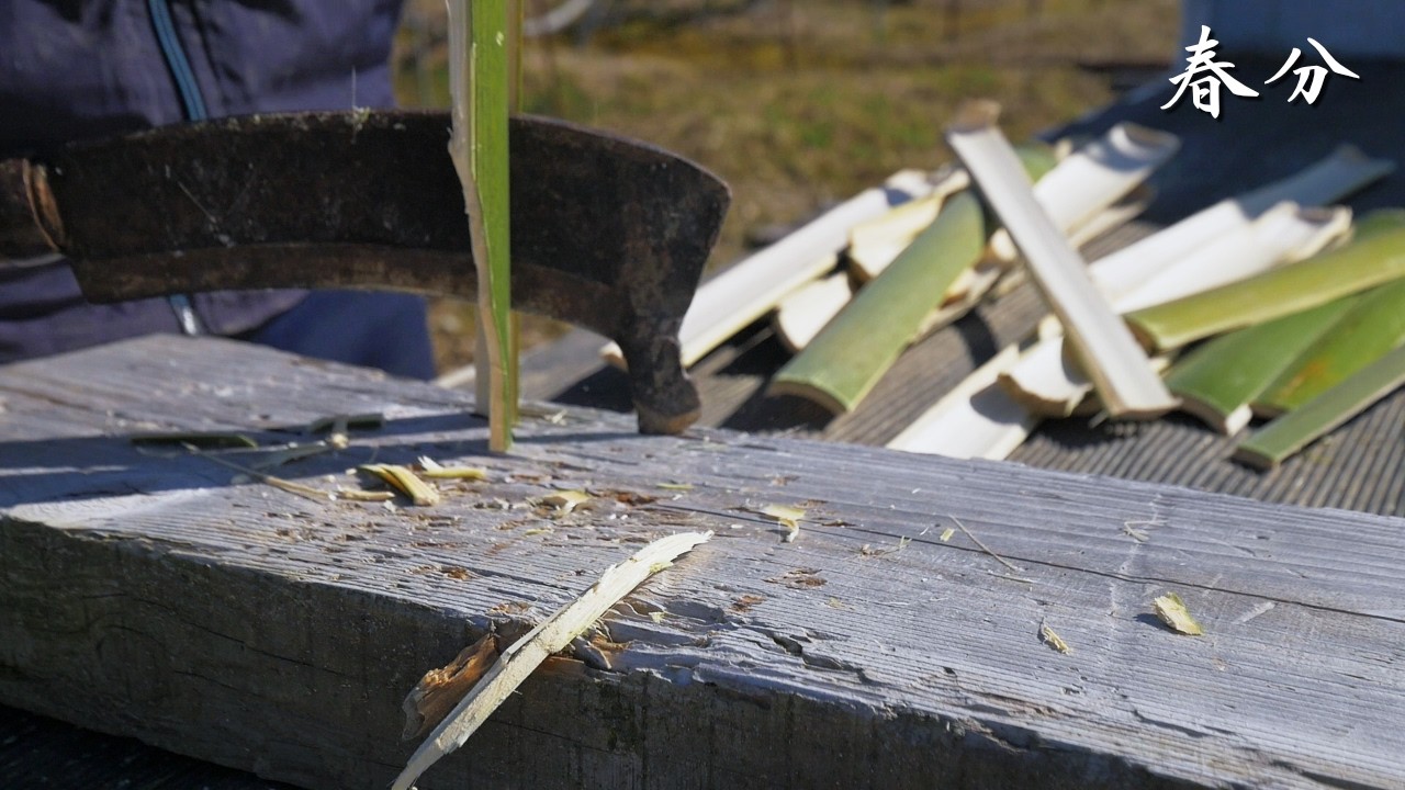 【春分】農家の春作業、ただ粛々と。