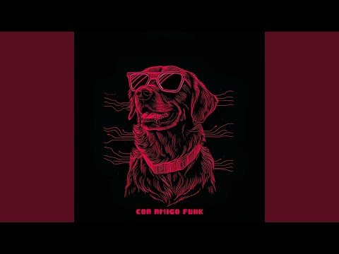 Cão Amigo Funk