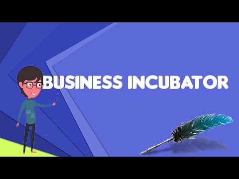, title : 'What is Business incubator?, Explain Business incubator, Define Business incubator'