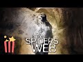 In The Spider S Web FULL MOVIE 2007 Action Horror