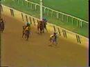 Lady's Secret - 1985 Ruffian Handicap