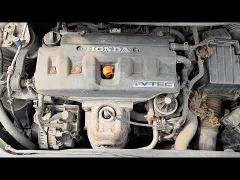 Honda Civic dalimis