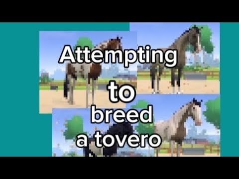 ATTEMPTING TO BREED A TOVERO HORSE IN ETG ~ 7K/8KSPECIAL ~ *equestrian the game*