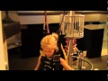 Circus Science Under The Big Top
